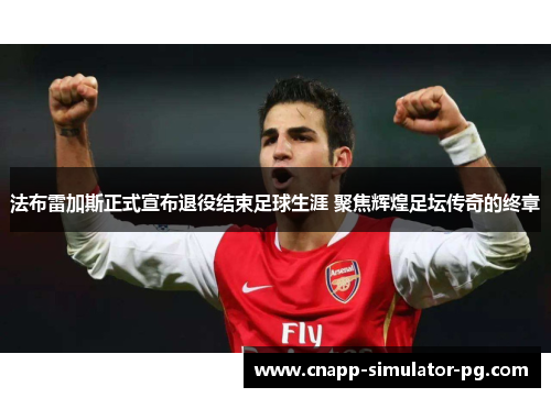 法布雷加斯正式宣布退役结束足球生涯 聚焦辉煌足坛传奇的终章 法布雷加斯正式宣布退役结束足球生涯 聚焦辉煌足坛传奇的终章