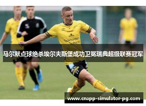 马尔默点球绝杀埃尔夫斯堡成功卫冕瑞典超级联赛冠军